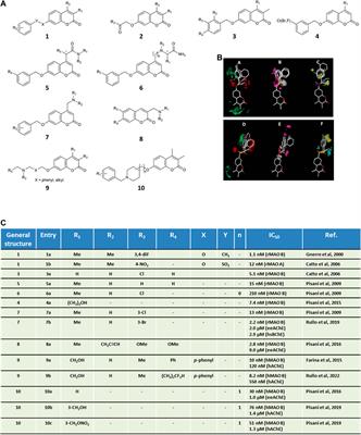 A twenty-year journey exploring coumarin-based derivatives as bioactive molecules